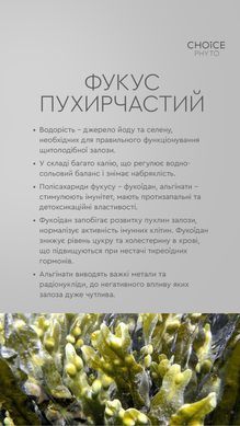 Гармонія