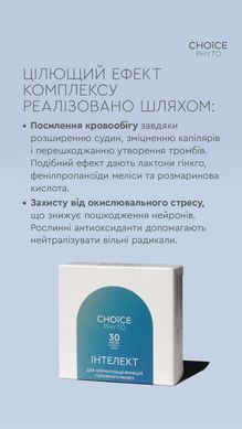 Інтелект