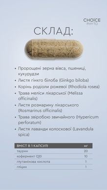 Інтелект
