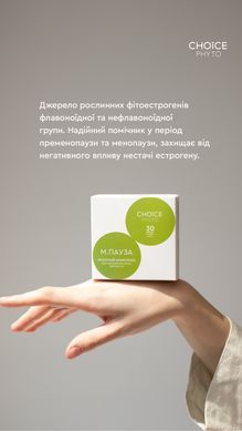 М.Пауза