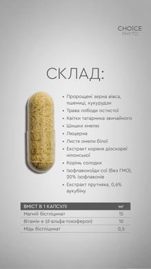 М.Пауза