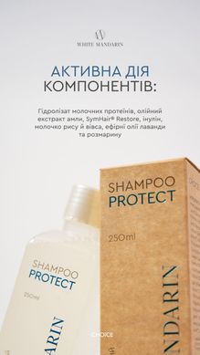 Регенеруючий шампунь для фарбованого та пошкодженого волосся. PROTECTION